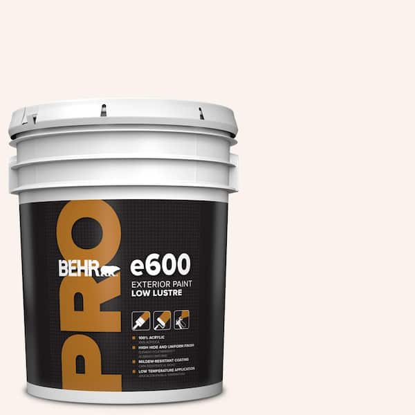 BEHR PRO 5 gal. #RD-W09 Shea Low Luster Exterior Paint