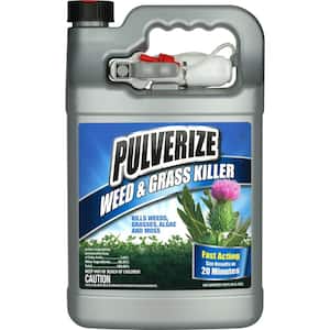 Weed and Grass Killer, 1 Gal. Ready-to-Use with Nested Trigger