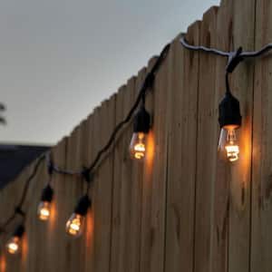 8 Light 25 ft. Outdoor Plug-in Edison Bulb String Light Commercial Grade Hanging Light, 10 Bulbs Included