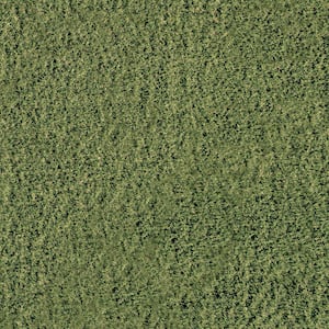 Emerald Green 5 ft. x 7 ft. x 30 mm Green Artificial Grass Turf Rug, Dog and Pet Friendly, Outdoor Patio, Backyard, Lawn