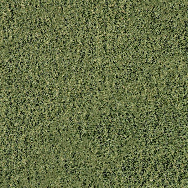 Emerald Green 5 ft. x 7 ft. x 30 mm Artificial Grass Turf