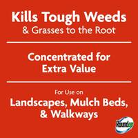 32 fl. oz. Weed/Grass Killer 4 Concentrate, Use in and Around Flower Beds, Walkways and Other Areas of your Yard