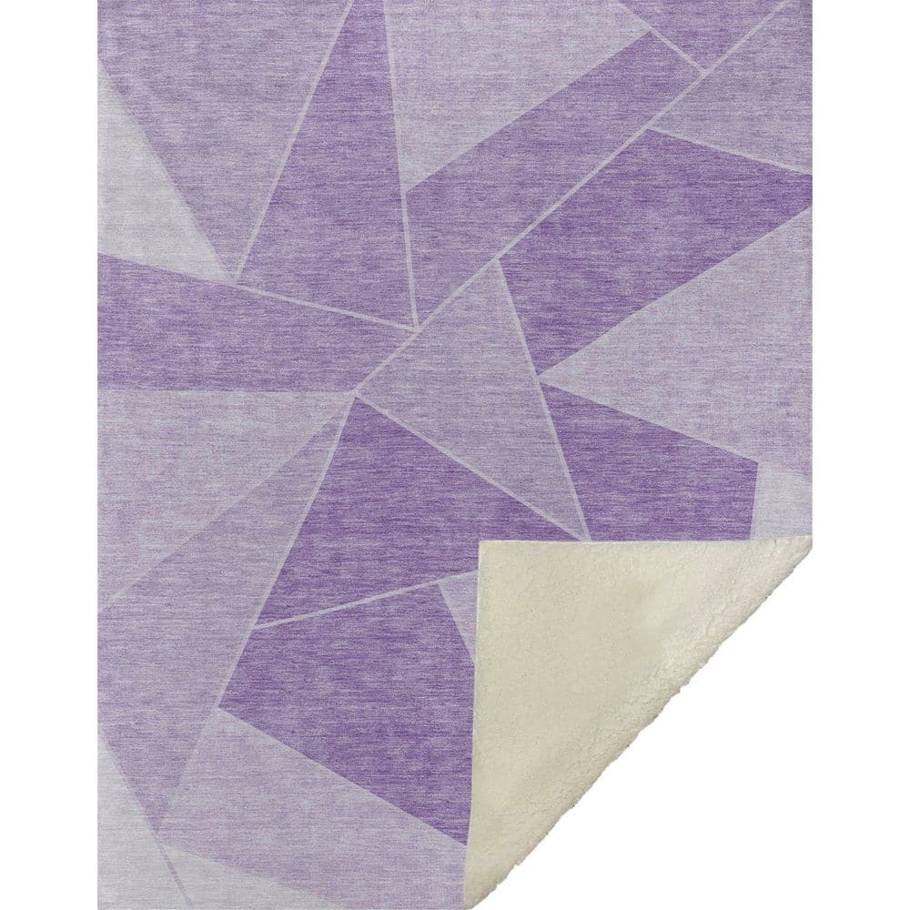 Premium Machine Washable ASB636 Lilac 50 in. x 70 in. Sherpa Throw Blanket price history on PriceWatchPro