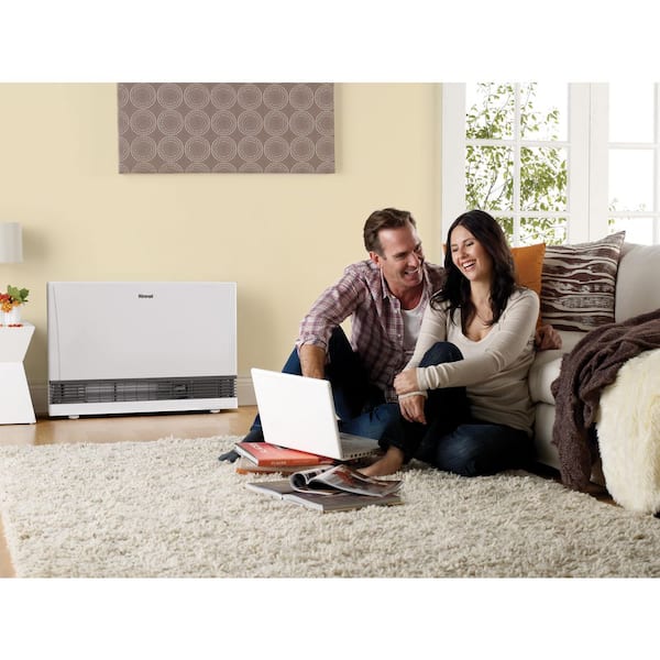 Rinnai EnergySaver 38,400 BTU Direct Vented Wall Furnace Natural