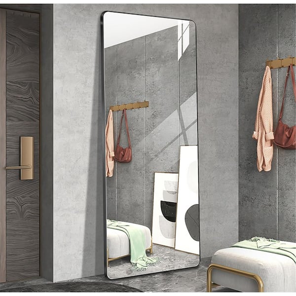 Qidian 24 in. W x 65 in. H Rectangular Framed Wall Mounted/Freestanding Bathroom Vanity Mirror in Black