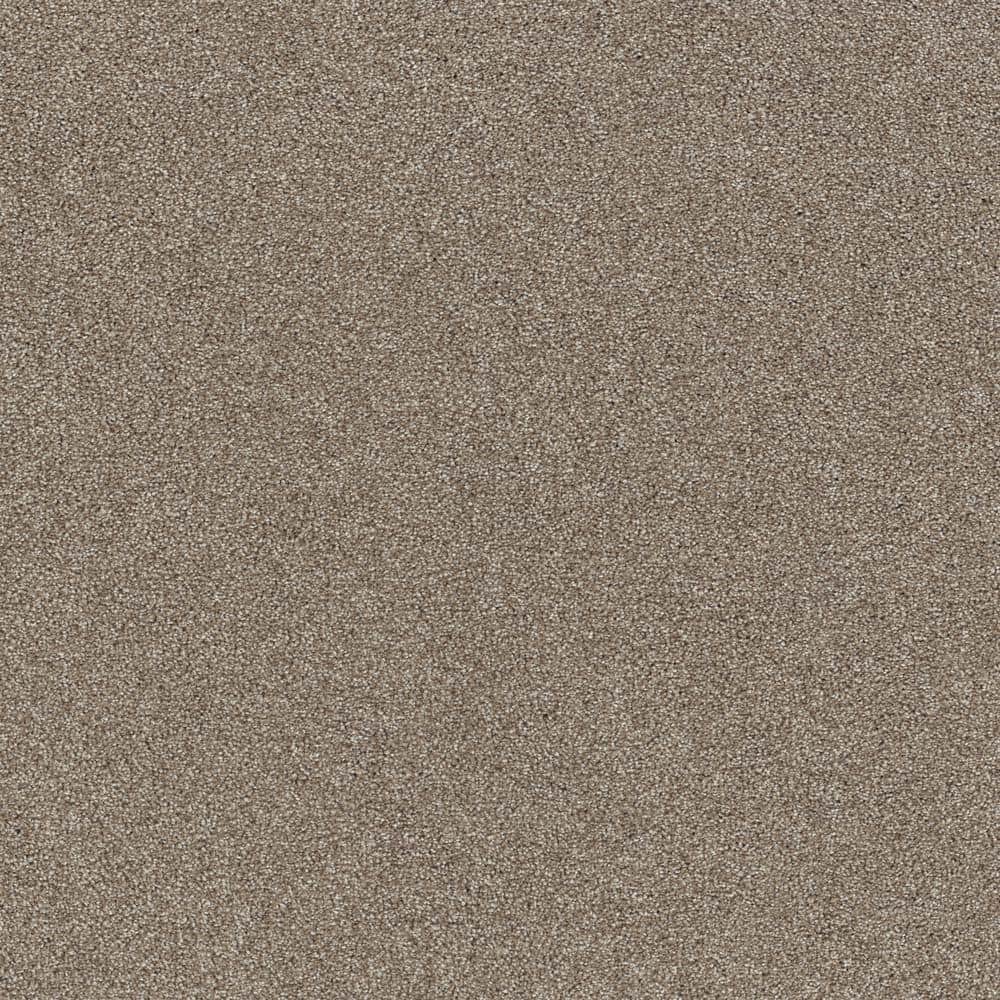 8 in. x 8 in. Texture Carpet Sample - Vacation - Color Seashell