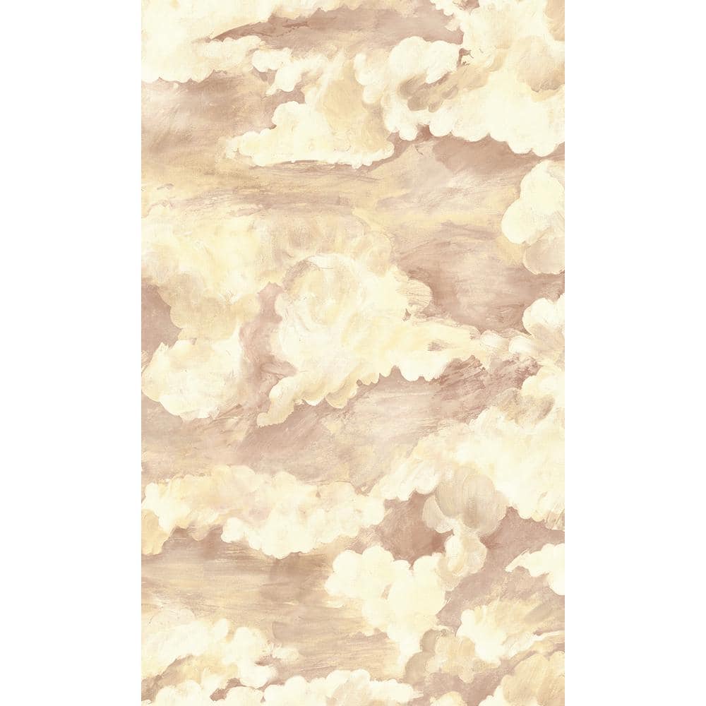 Coral Cloud Filled Sky Plain Print Non Woven Non-Pasted Textured Wallpaper 57 Sq. Ft. price history on PriceWatchPro