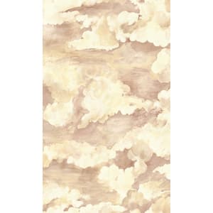 Coral Cloud Filled Sky Plain Print Non Woven Non-Pasted Textured Wallpaper 57 Sq. Ft.