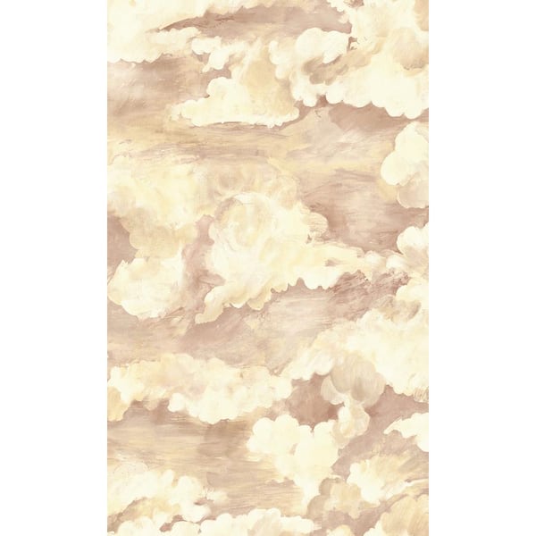 Walls Republic Coral Cloud Filled Sky Plain Print Non Woven Non-Pasted Textured Wallpaper 57 Sq. Ft.