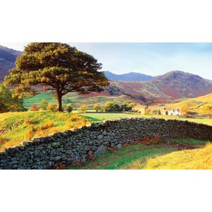 Country View - Weather Proof Scene for Window Wells or Wall Mural - 60 in. x 100 in.