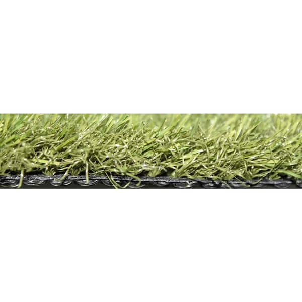 TruGrass Emerald 12 ft. x 75 ft. Artificial Turf Roll