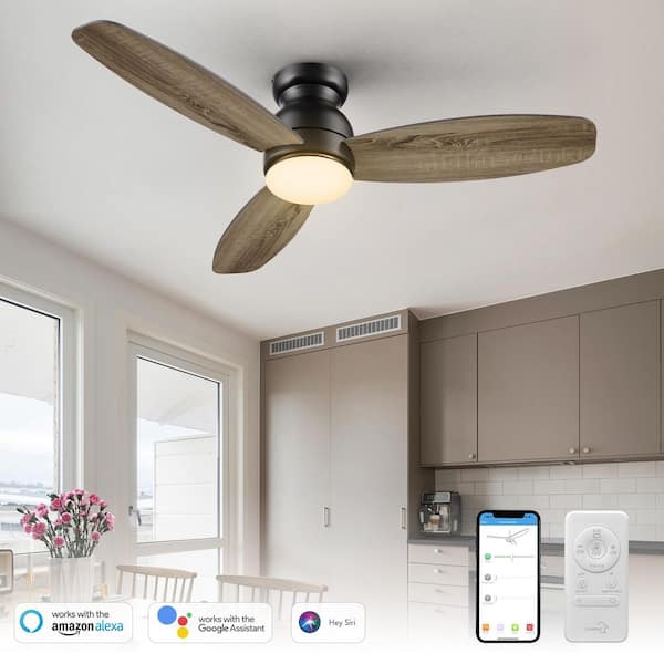 CARRO Honeybee 52 in. Dimmable LED Indoor/Outdoor Black Smart Ceiling Fan with Light and Remote, Works with Alexa/Google Home