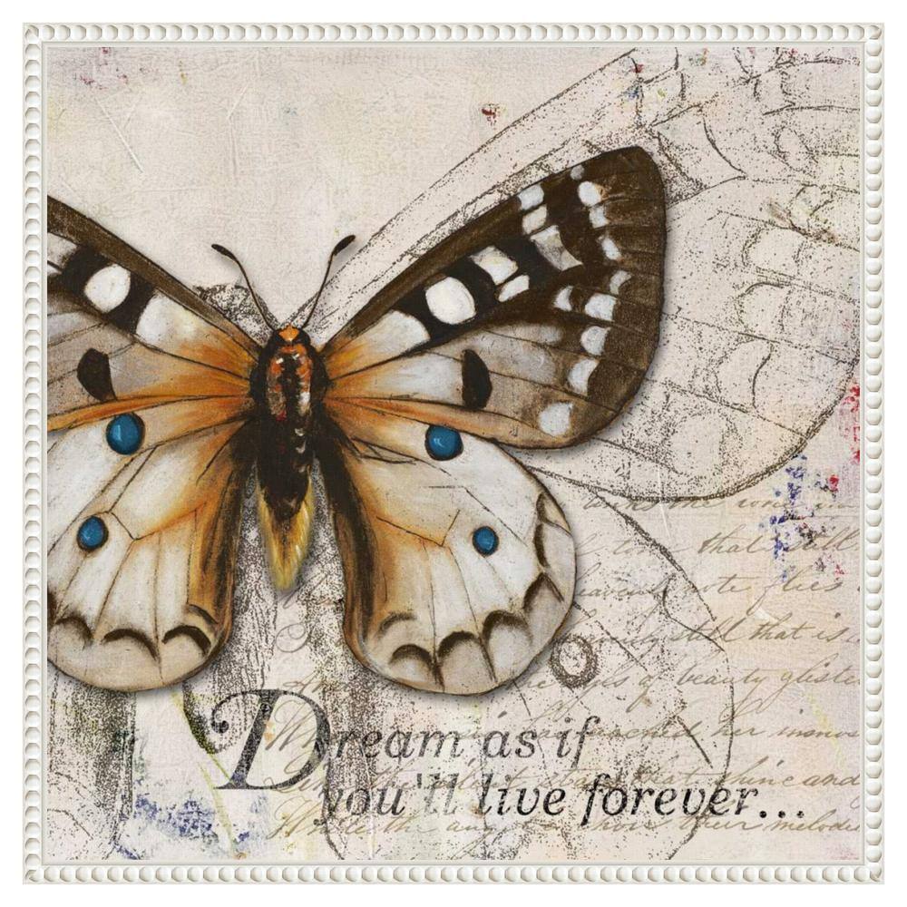 22"x22" Living your Dreams I Butterfly by Patricia Pinto Framed Canvas Wall Art Print White - Amanti Art: Modern Style, Polystyrene Frame