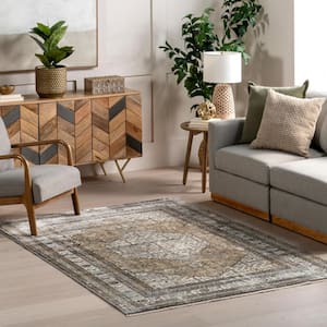 Charvi Light Brown 8 ft. x 10 ft. Distressed Medallion Area Rug