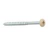 Everbilt #10 x 2-1/2 in. Zinc-Plated Phillips Drive Truss-Head Cabinet  Screw with White Painted Head (25-Piece) 802972 - The Home Depot