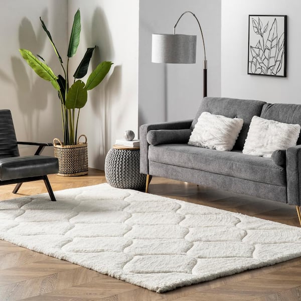 Shaggy Elsie White 5 ft. x 8 ft. Area Rug