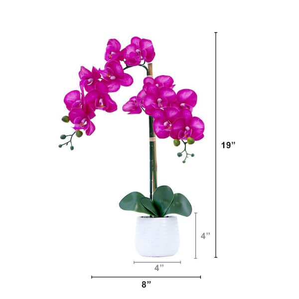Graphic Image Tape Measure, Orchid