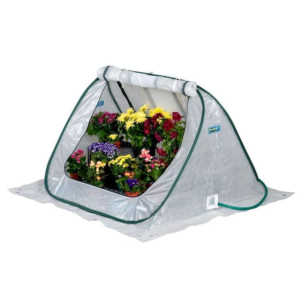 FlowerHouse SeedHouse 4 ft. x 4 ft. Pop-Up Greenhouse