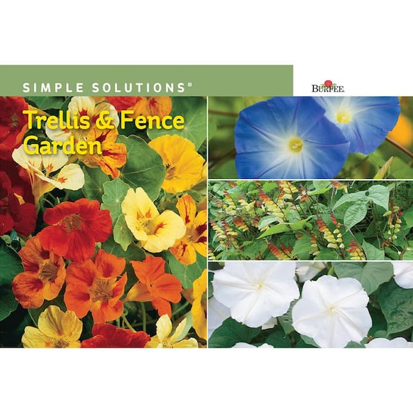 Burpee Simple Solutions Trellis and Fence Garden Seed