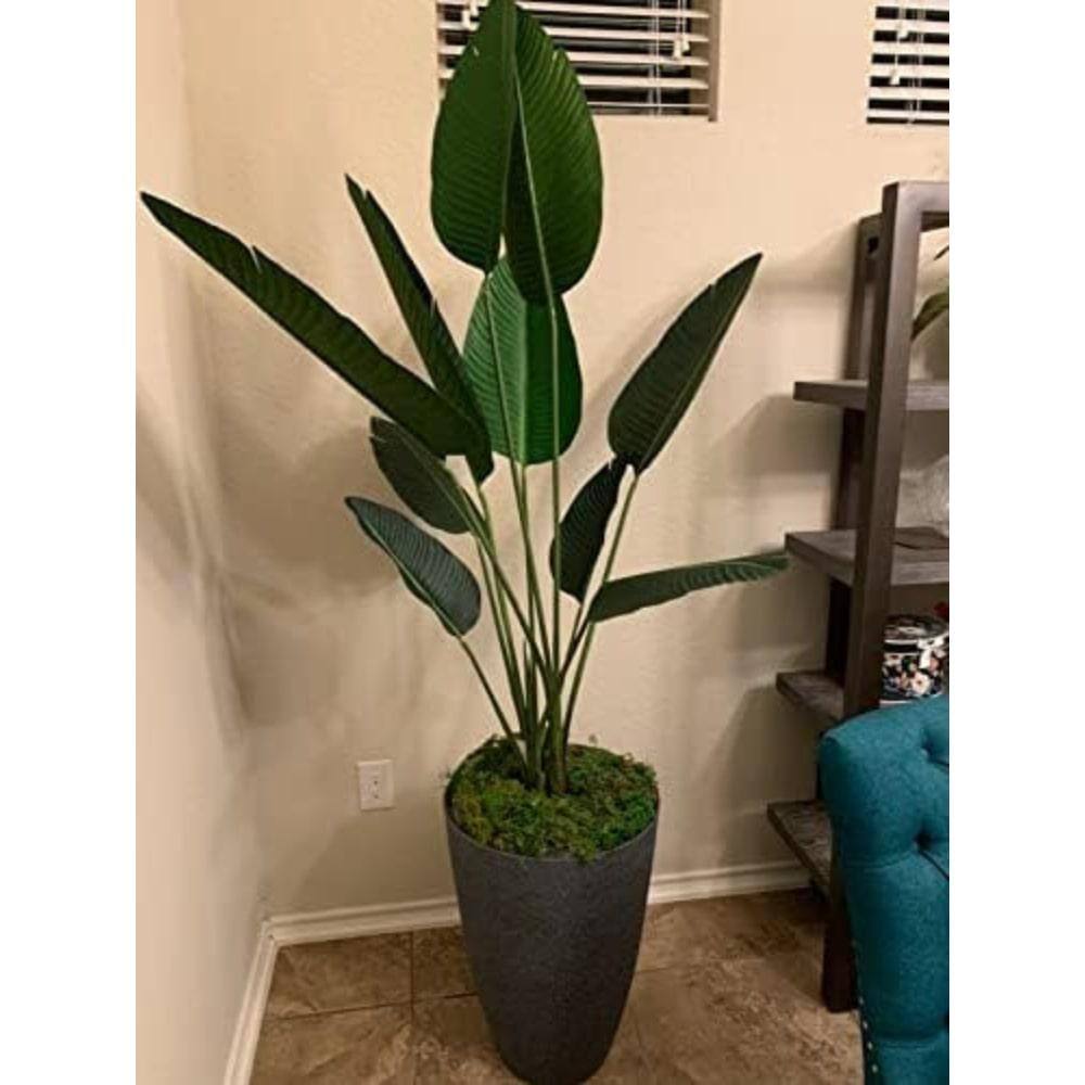 60 in Green Silk Bird of Paradise Floor Plant in Black Pot