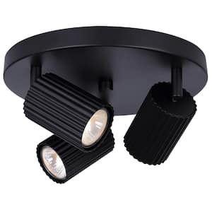 Rexton 2 ft. Matte Black Halogen Ceiling Mounted Hard Wired Track Lighting Kit with Cylinder Head