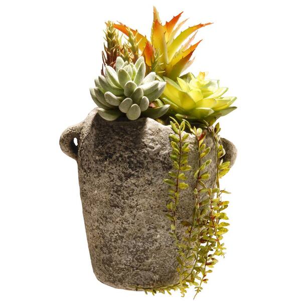 National Tree Company 11.8 in. Artificial Succulent in Ceramic Pot