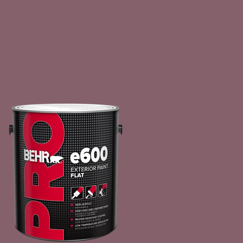 1 gal. #BIC-35 Vintage Plum Flat Exterior Paint price history on PriceWatchPro