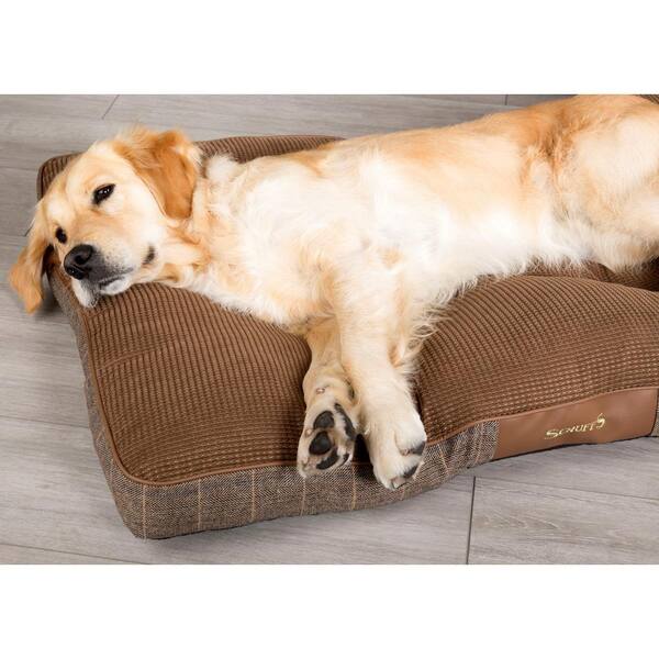 scruffs windsor dog bed