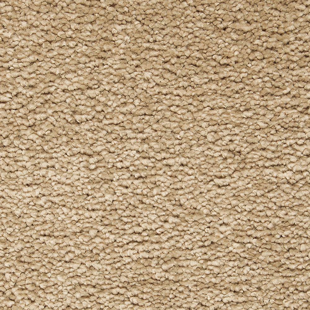 8 in. x 8 in. Texture Carpet Sample - Castle I -Color Brunette price history on PriceWatchPro