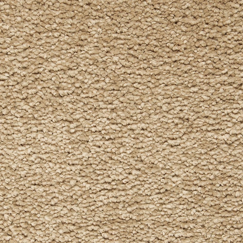 8 in. x 8 in. Texture Carpet Sample - Castle II -Color Brunette price history on PriceWatchPro