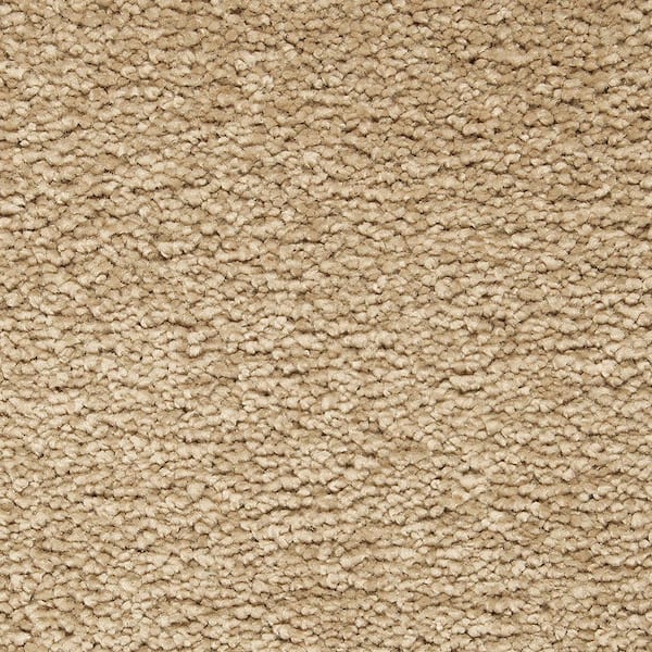 Lifeproof 8 in. x 8 in. Texture Carpet Sample - Castle II -Color Brunette