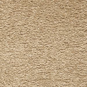 Castle II - Color Brunette Indoor Texture Beige Carpet