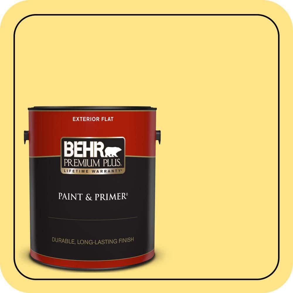1 gal. #P300-5 Upbeat Flat Exterior Paint & Primer price history on PriceWatchPro