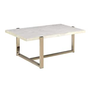 Feit 44 in. Champagne Finish Rectangle Faux Marble Coffee Table