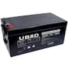 UPG 12-Volt 250 Ah L4 Terminal Sealed Lead Acid (SLA) AGM Rechargeable ...