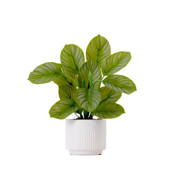 Nearly Natural 12 in. Green Artificial Calathea Plant with Decorative Planter