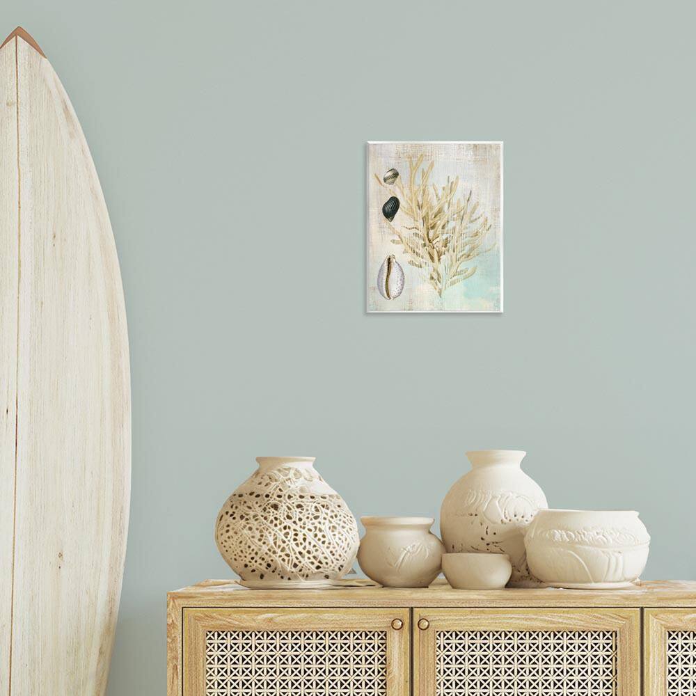 Coral Branch & Cowrie Shells by Susan Arnot Unframed Animal Graphic Art Print 14 in. x 11 in. price history on PriceWatchPro