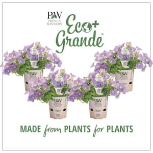 4.25 in. Eco+Grande Supertunia Blue Skies (Petunia) Live Plant, Blue Flowers (4-Pack)