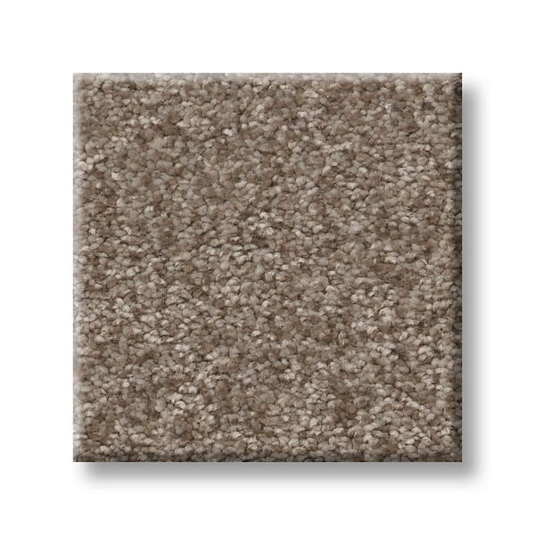 Lifeproof 8 in. x 8 in. Texture Carpet Sample - Rosemary III -Color Cottage