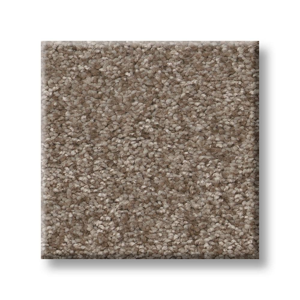 8 in. x 8 in. Texture Carpet Sample - Rosemary I -Color Cottage price history on PriceWatchPro