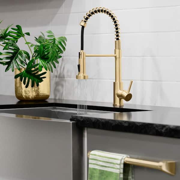 ZLINE Kitchen and Bath Palisades Single Handle Pull Down Spring