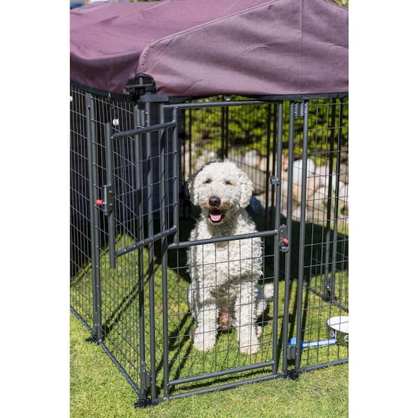 blik Motiveren puur TRIXIE 8 ft. x 4 ft. x 4.5 ft. Deluxe Outdoor Dog Kennel with Cover, XXL  39212 - The Home Depot