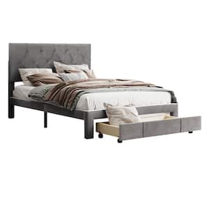 54.00 in. W Gray Frame Full Size Storage Bed Velvet Upholstered Platform Bed with a Big Drawer