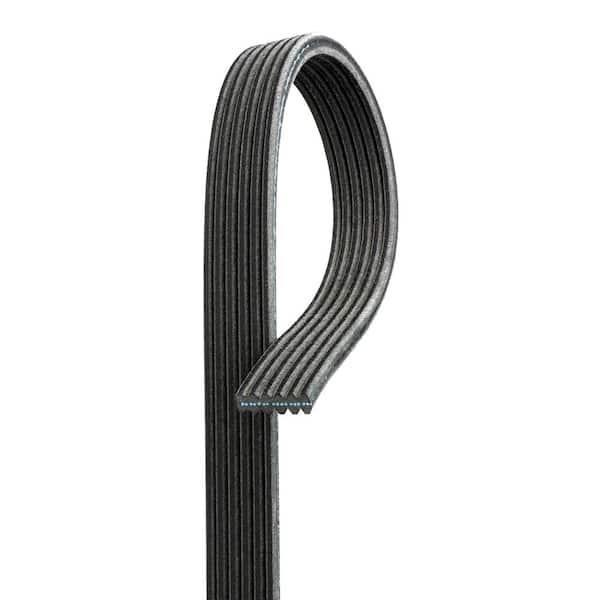 ACDelco Dual Sided Serpentine Belt