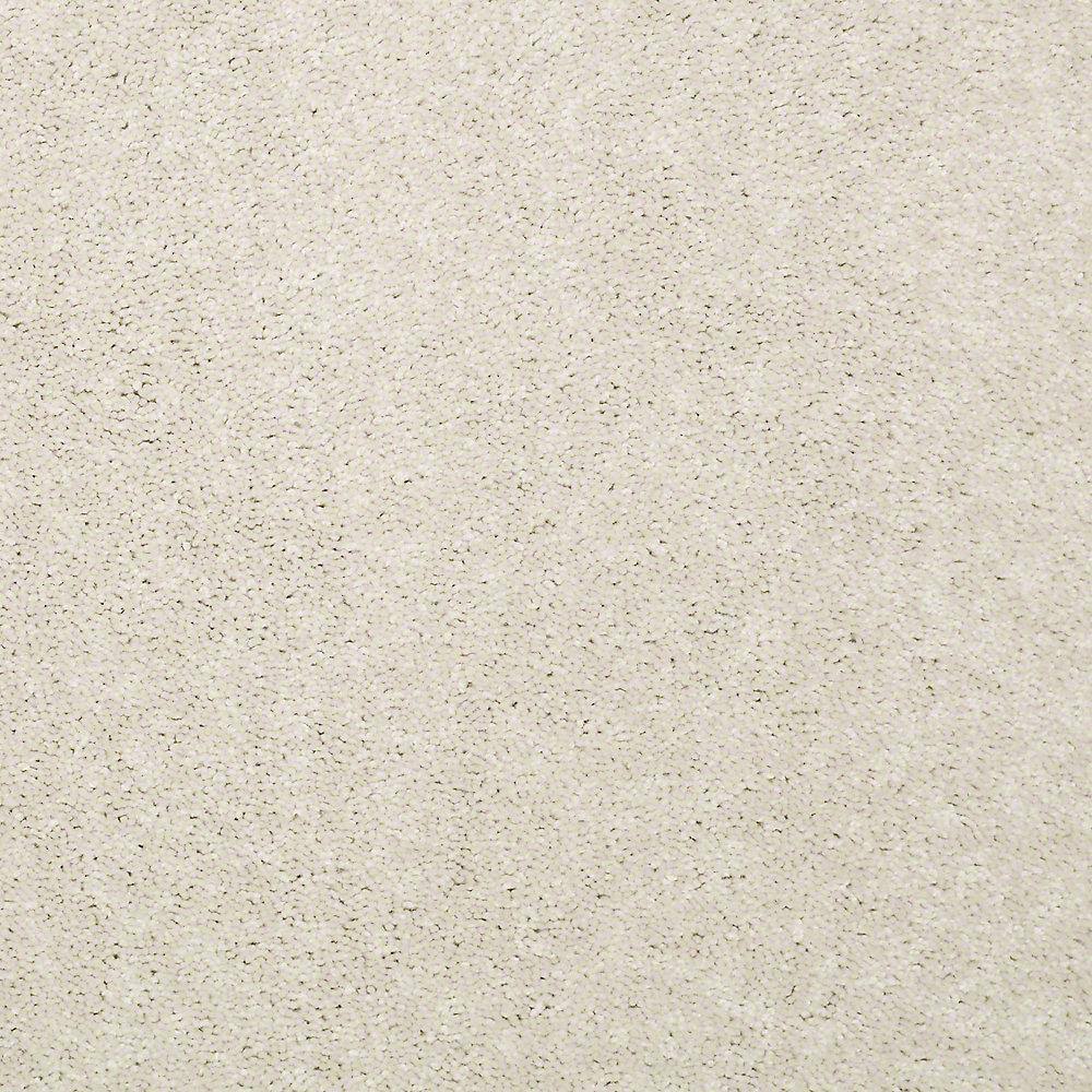 8 in. x 8 in. Texture Carpet Sample - Watercolors I - Color Coconut price history on PriceWatchPro