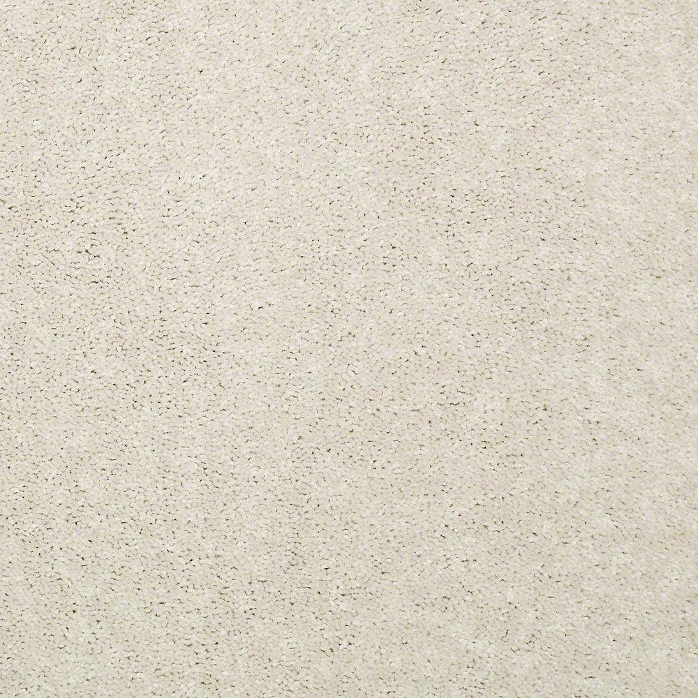 8 in. x 8 in. Texture Carpet Sample - Watercolors II - Color Coconut price history on PriceWatchPro