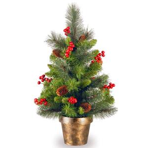 24 in. Crestwood Spruce Tree