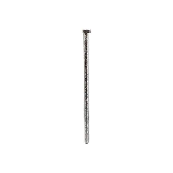 Hillman Anchor Wire 3/4 In. 15 ga Steel Shade Bracket Specialty Nails (6  Ct., 1.5 Oz.) | Hills Flat Lumber