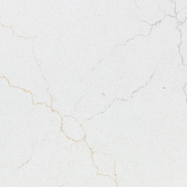 4 in. x 4 in. Quartz Countertop Sample in Calacatta Adonia
