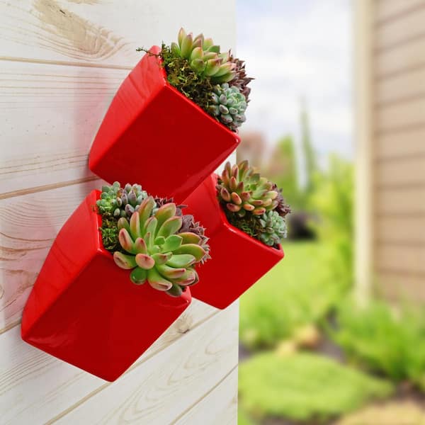Cube 3-1/2 in. x 4 in. Red Ceramic Wall Planter (3-Piece)